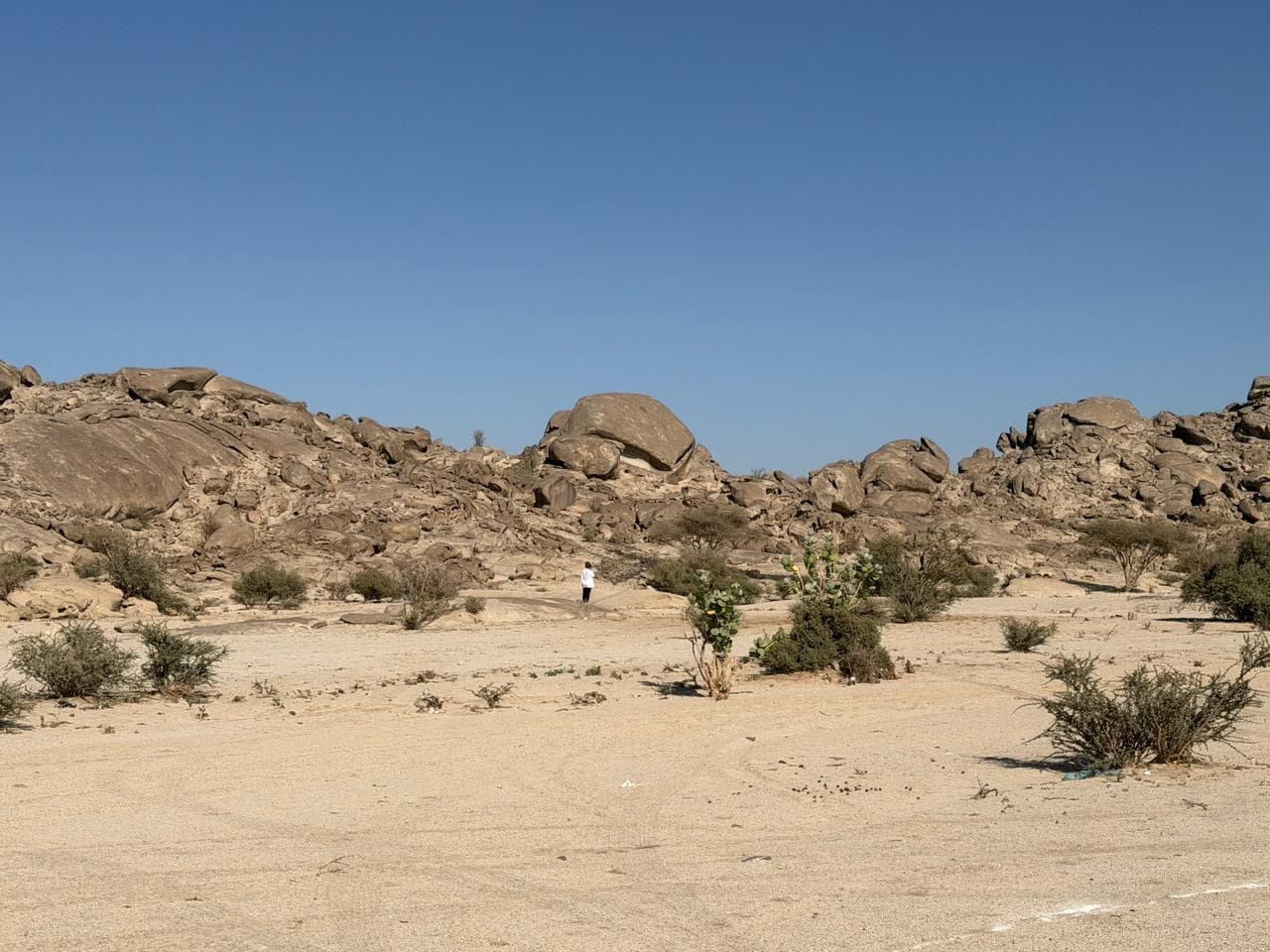 Hike awareness summit in Jeddah